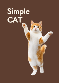 Simple CAT | 茶白猫・ブラウン