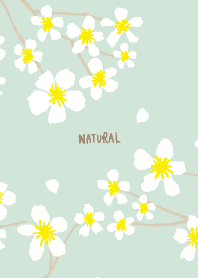 A white flower blooms Green4 from Japan