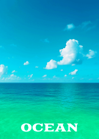OCEAN THEME 65
