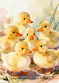 Sunny Duckling Days
