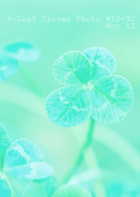 4leaf Clover Photo#10-32Not AI