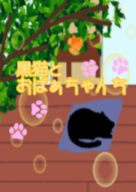 Black cat and grandmother's house