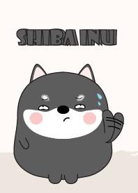 Emotions Fat Black Shiba Inu