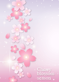 桜の季節【パープル】