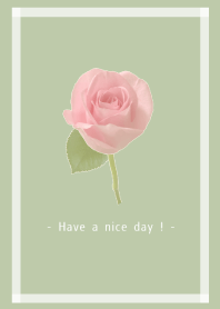 - Rose Theme - 4