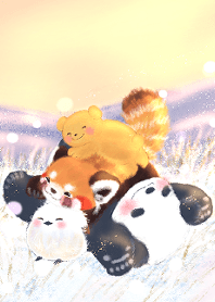 Red panda Pohe / Winter / Theme