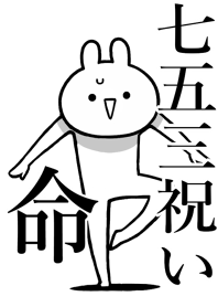 【七五三祝い】命！好きすぎる名前着せかえ