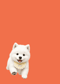 Baby Samoyed red & yellow