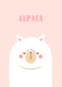 misty cat-alpaca pink and white