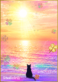 A fantastical sunset and a black cat/1