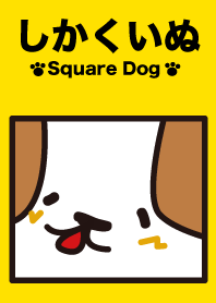 Cão quadrado