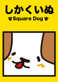 四角い犬
