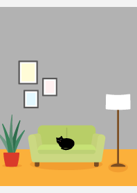 Cat on the sofa on white