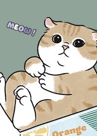 neko single16 / dusty green