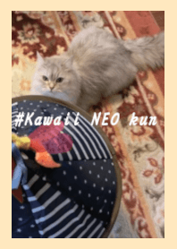 #Kawaii NEO kun Cat