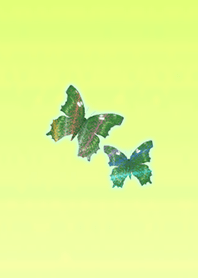 Lift lift butterfly light green