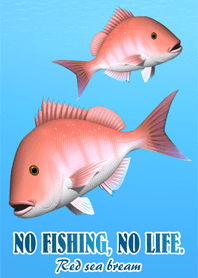 RED SEA BREAM (1)