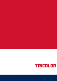 トリコロールテーマ***
