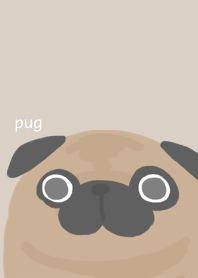 パグアプリコット