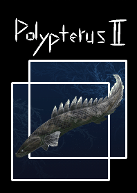 the theme of Polypterus bichir2