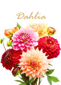 "Dahlia vol.5" theme