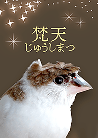 梵天じゅうしまつ