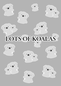 LOTS OF KOALASj-GRAY