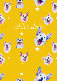white dogs on yellow