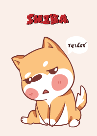 ชญานันท์ ใครไม่บะ ชิบะ 4 V15