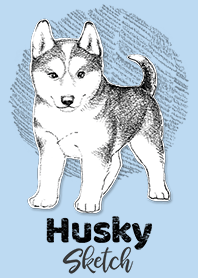 HUSKY Sketch