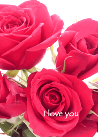 赤い薔薇写真着せ替え