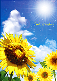 Bring good luck Blue sky & Sunflowers 3