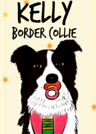 Kelly the Border Collie (BLK & WH)