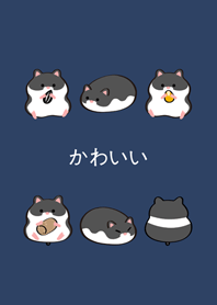 我養的黃金鼠-黑熊鼠(深藍色)