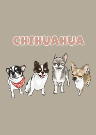 chihuahua3 / khaki