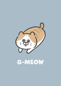 Q-meow6 / light steel blue