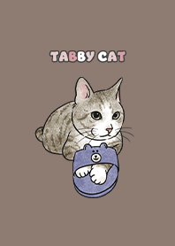 tabbycat6 / brown