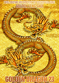 Golden dragon 23