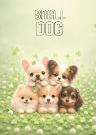 Lovely Small Dog  In Clover Land