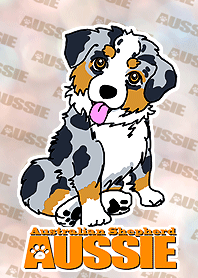 オーストラリアンシェパード着せかえ