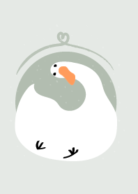 domestic duck 2