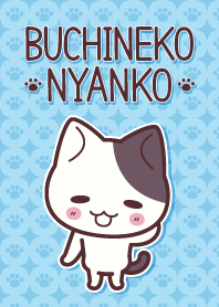 Buchineko Nyanko