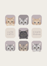 CATS - American Shorthair - PURPLE GRAY