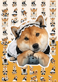 Maid's Shiba Inu Red Green