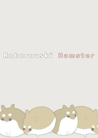 Roborovski hamster
