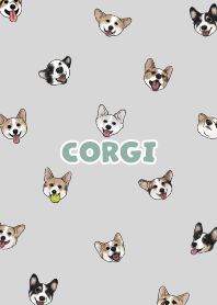 corgicorgi6 / light grey