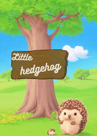 Little hedgehog cute
