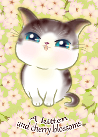 Kitten looking at cherry blossoms