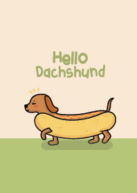 Dachshund  Cute : Good Dog