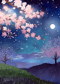 Beautiful night cherry blossoms#538